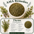 Thyme (Thymus vulgaris) — Dried Herb