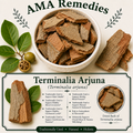 Terminalia Arjuna (Terminalia arjuna)