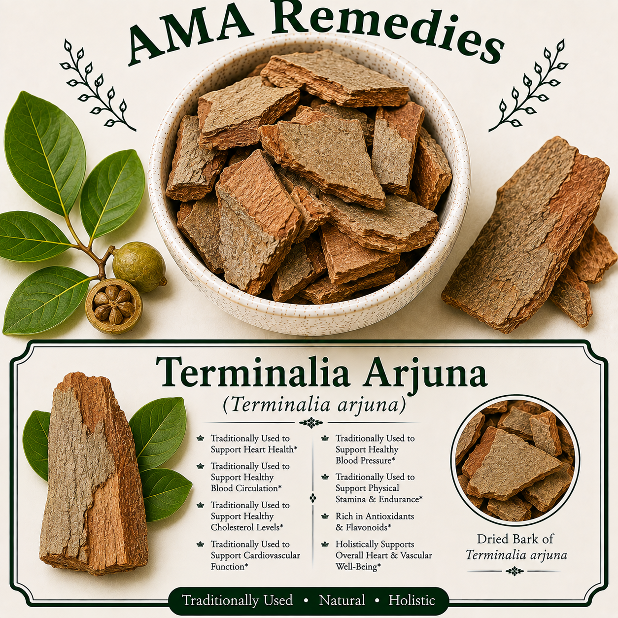 Terminalia Arjuna (Terminalia arjuna)