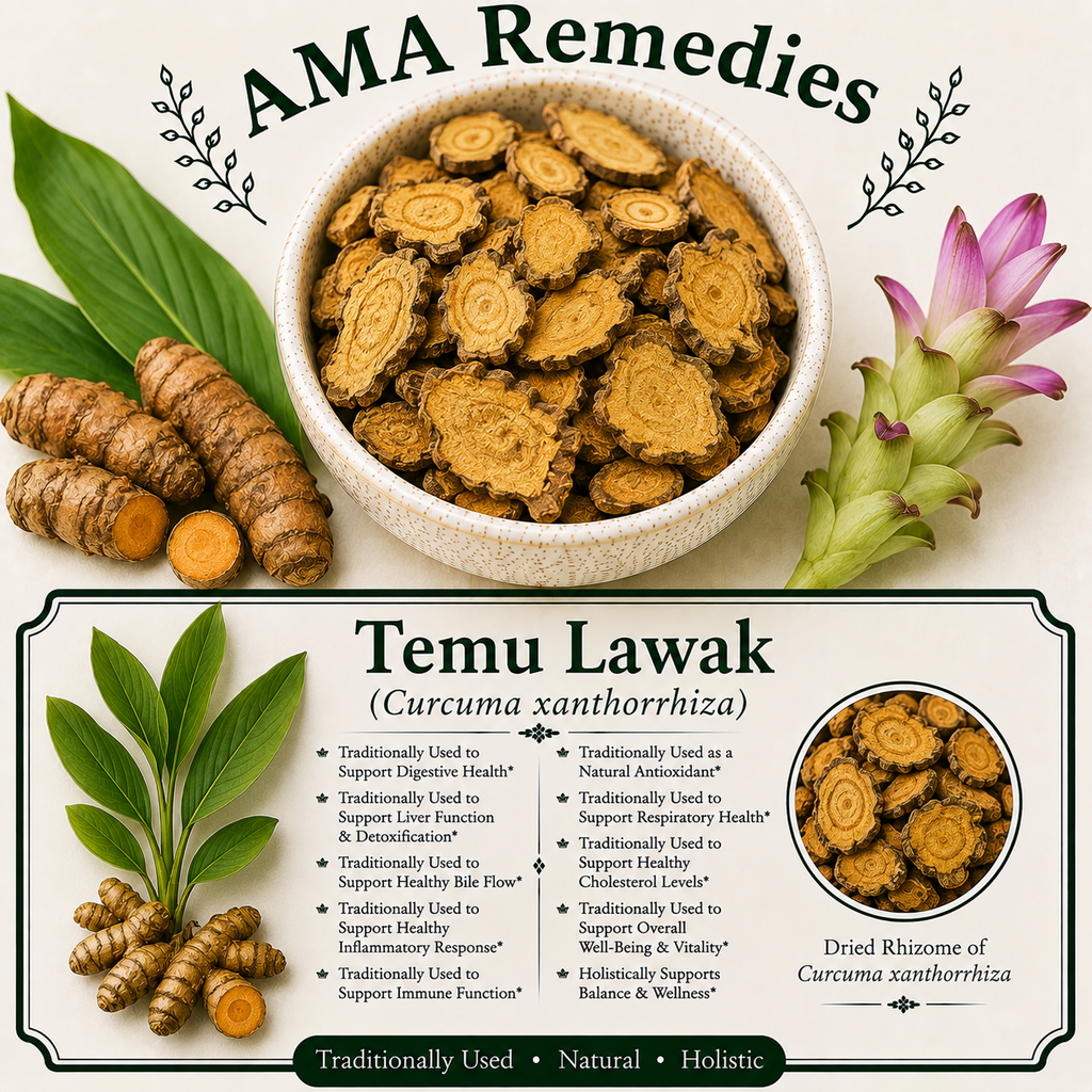 Temu Lawak (Curcuma xanthorrhiza) — Dried Rhizome