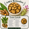 Temu Lawak (Curcuma xanthorrhiza) — Dried Rhizome
