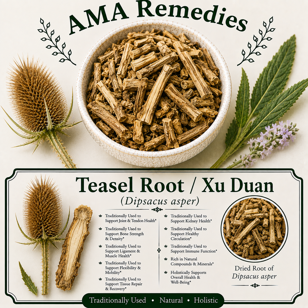 Teasel Root / Xu Duan (Dipsacus asper)