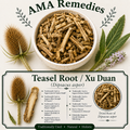 Teasel Root / Xu Duan (Dipsacus asper)
