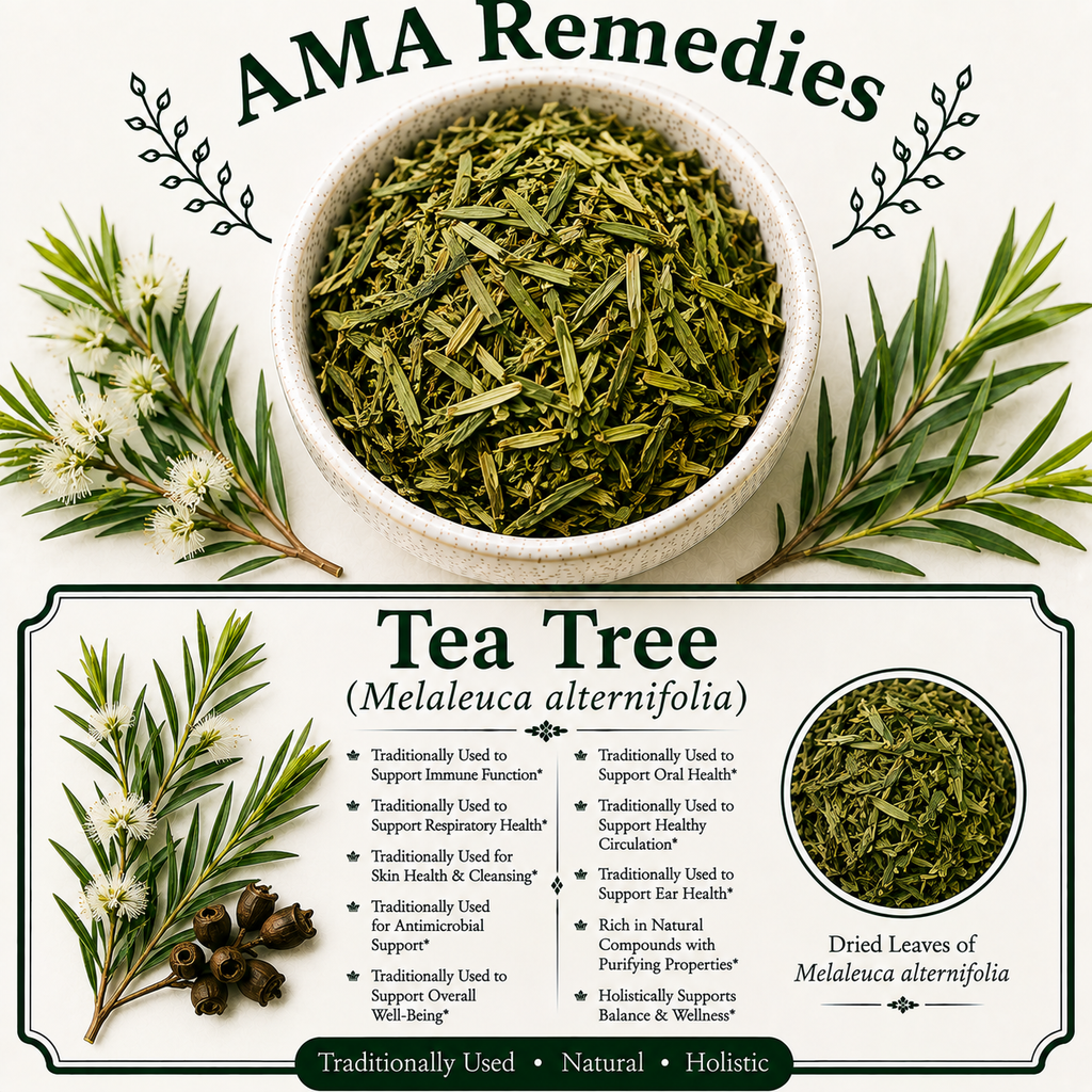 Tea Tree (Melaleuca alternifolia)