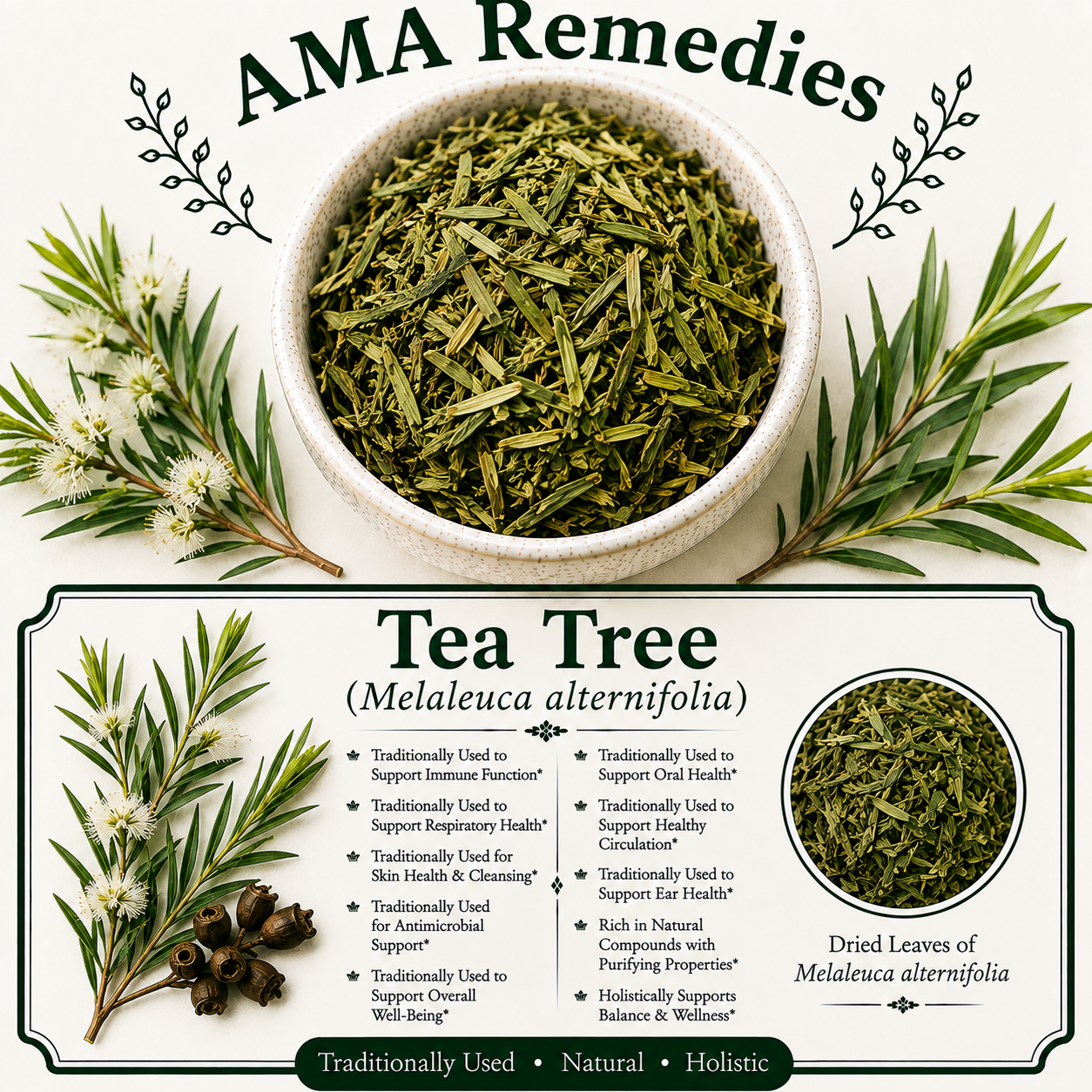 Tea Tree (Melaleuca alternifolia)