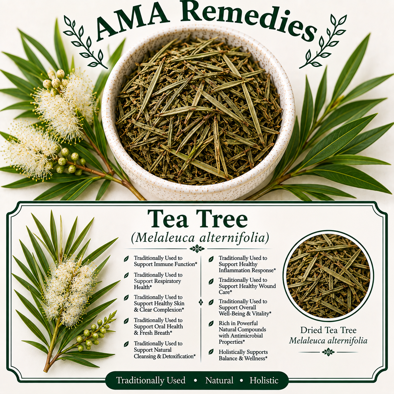 Tea Tree (Melaleuca alternifolia)