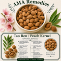 Tao Ren / Peach Kernel (Prunus persica)