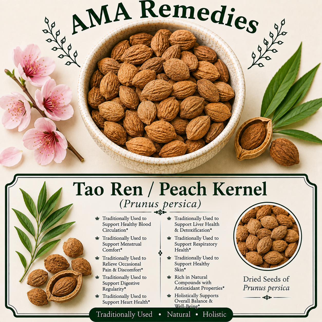 Tao Ren / Peach Kernel (Prunus persica)