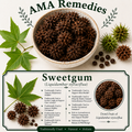 Sweetgum (Liquidambar styraciflua)