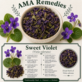 Sweet Violet (Viola odorata)