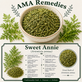 Sweet Annie (Artemisia annua) — Dried Herb
