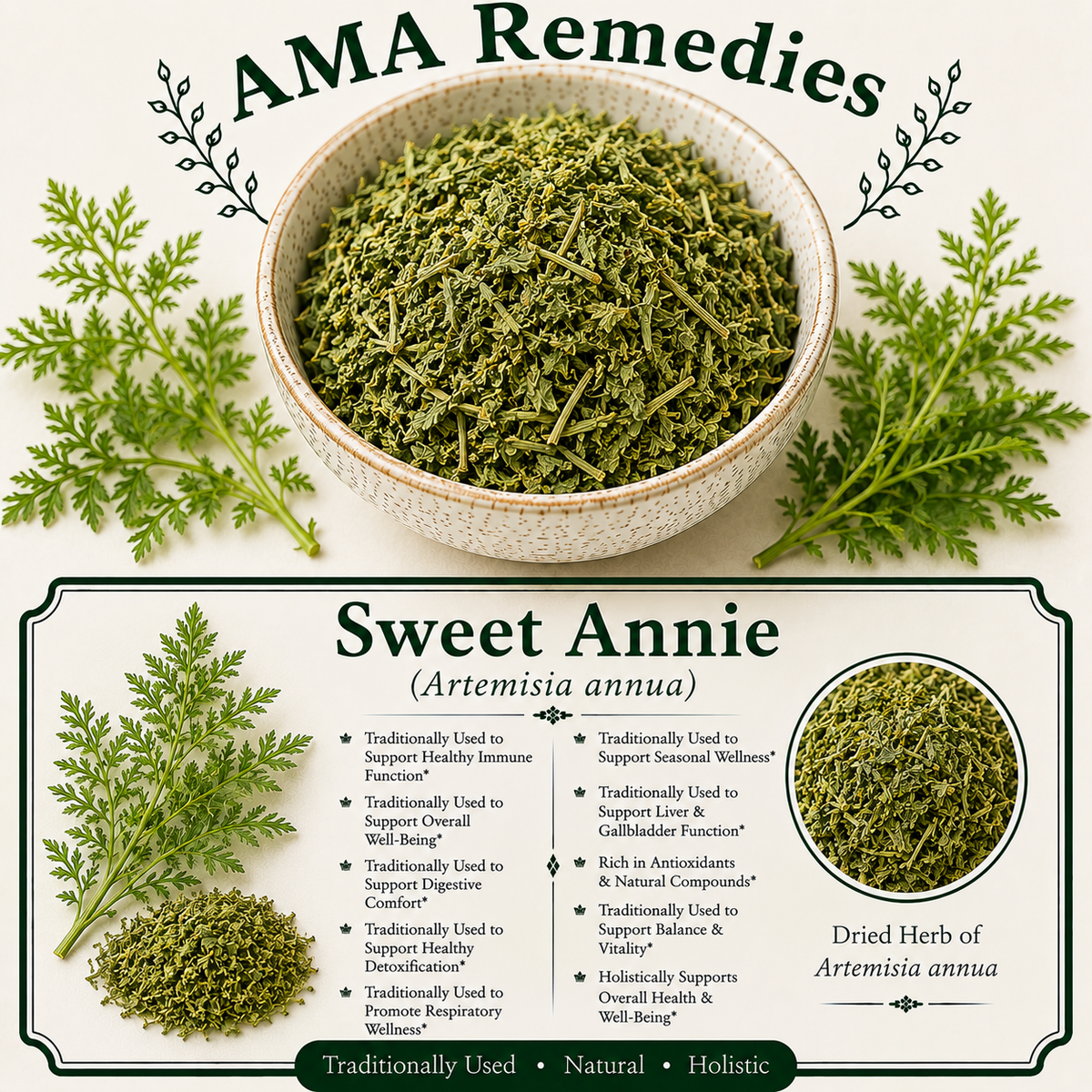 Sweet Annie (Artemisia annua) — Dried Herb