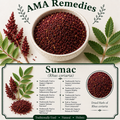 Sumac (Rhus coriaria) — Dried Fruit