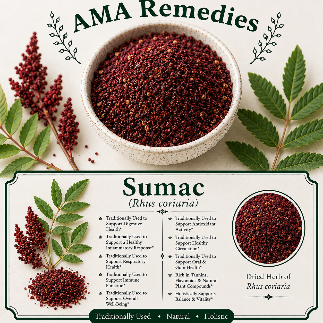 Sumac (Rhus coriaria)