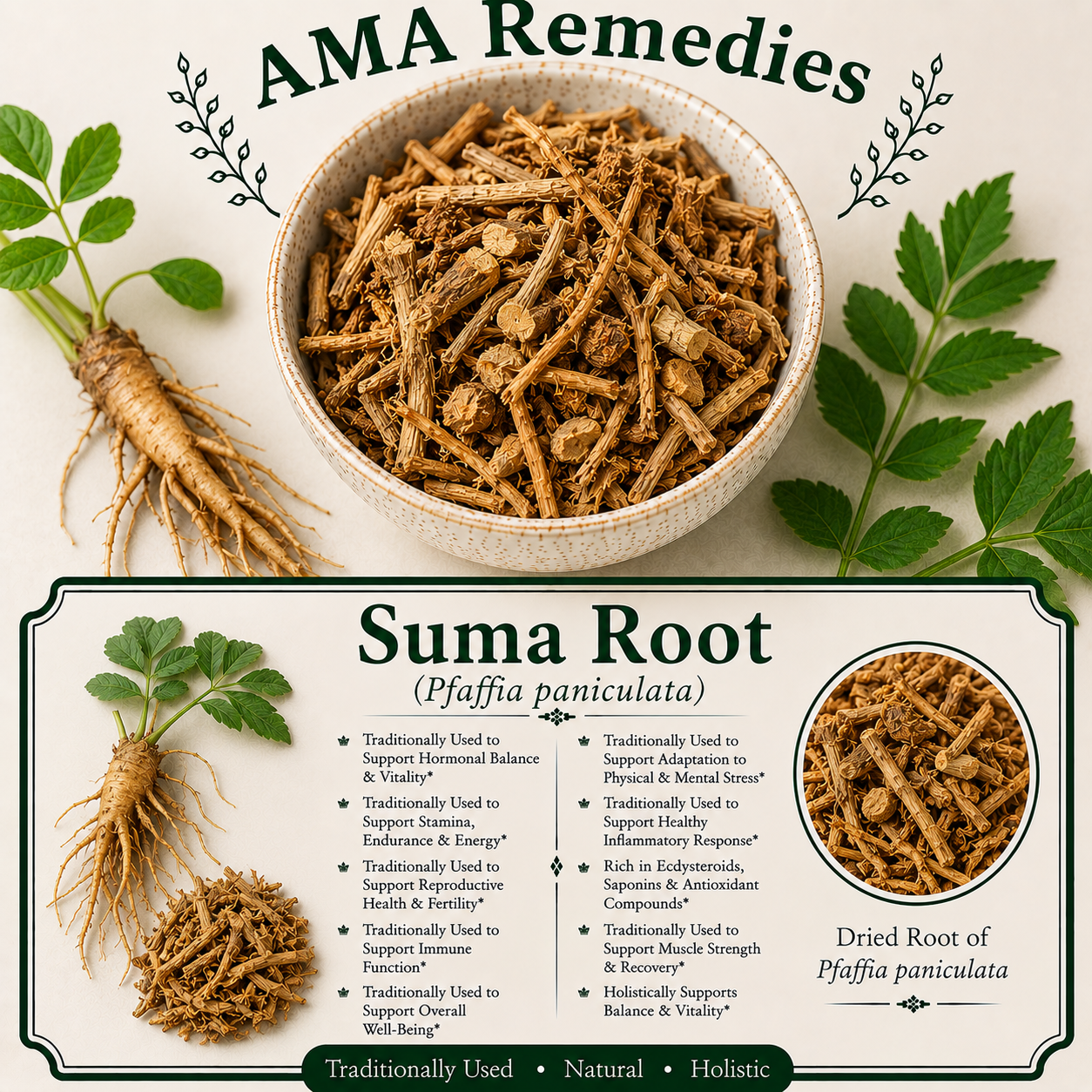 Suma Root (Pfaffia paniculata)