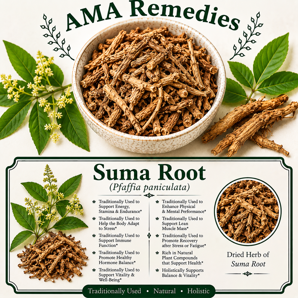 Suma Root (Pfaffia paniculata)