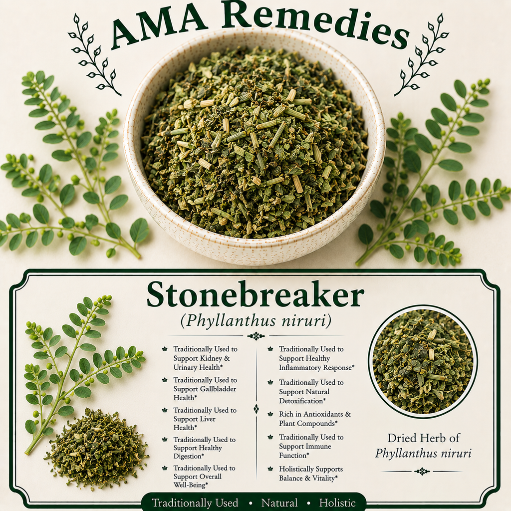 Stonebreaker (Phyllanthus niruri)