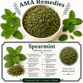 Spearmint (Mentha spicata) — Dried Leaves