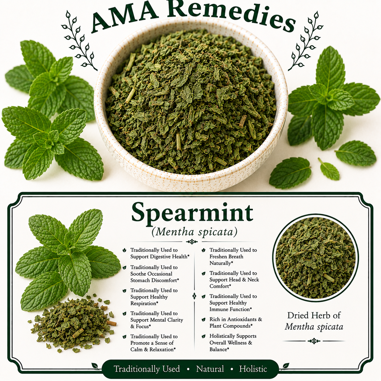 Spearmint (Mentha spicata)