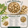 Solomon's Seal (Polygonatum biflorum)