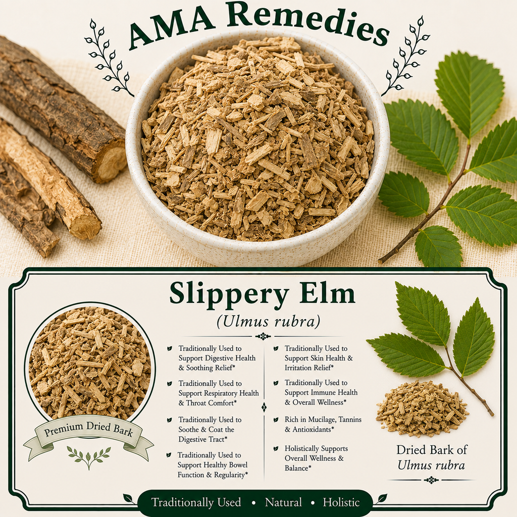 Slippery Elm (Ulmus rubra)