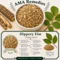 Slippery Elm (Ulmus rubra)