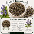 Skullcap, American (Scutellaria lateriflora) — Dried Herb