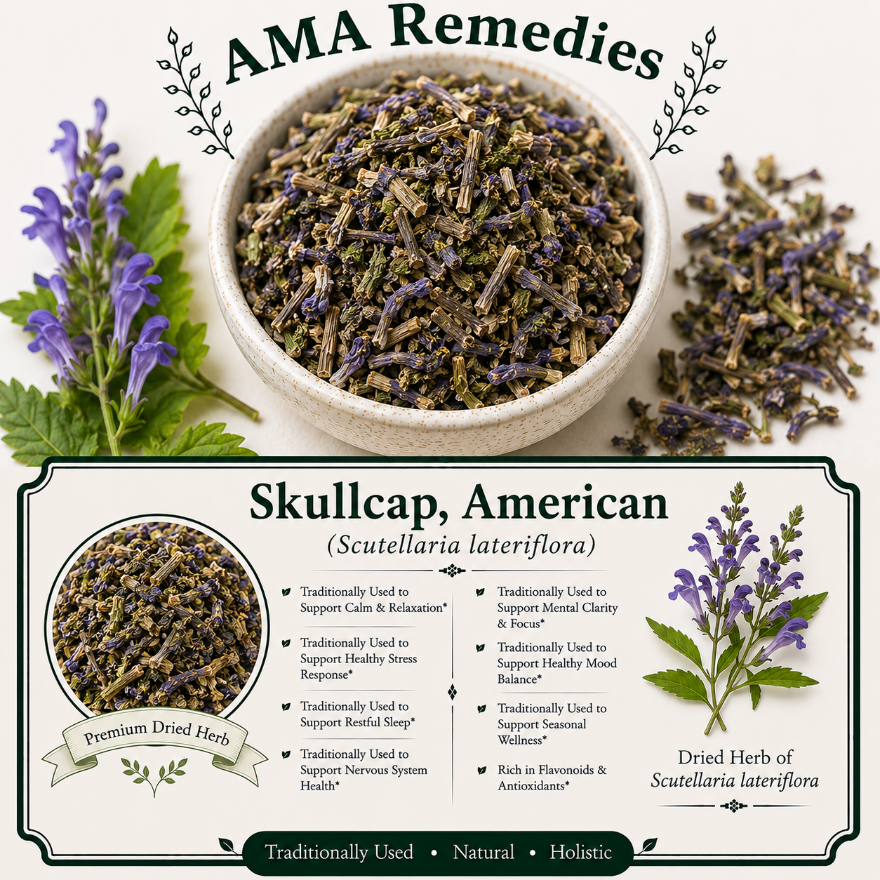 Skullcap, American (Scutellaria lateriflora)