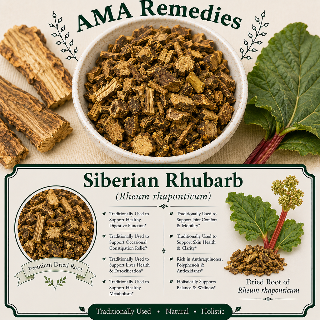 Siberian Rhubarb (Rheum rhaponticum)