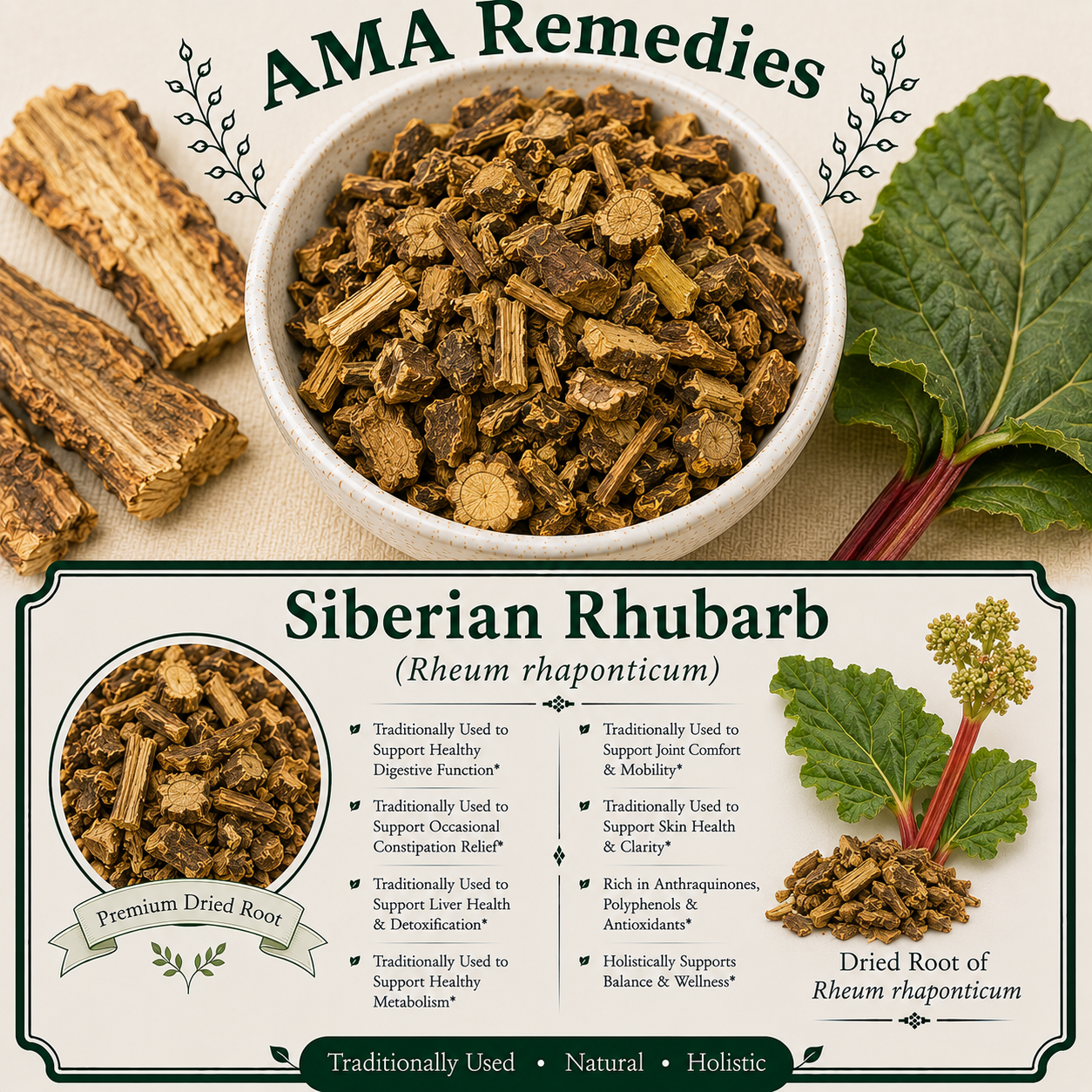 Siberian Rhubarb (Rheum rhaponticum)