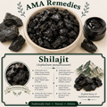 Shilajit (Asphaltum punjabianum) — Dried Mineral Pitch
