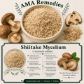 Shiitake Mycelium (Lentinula edodes)