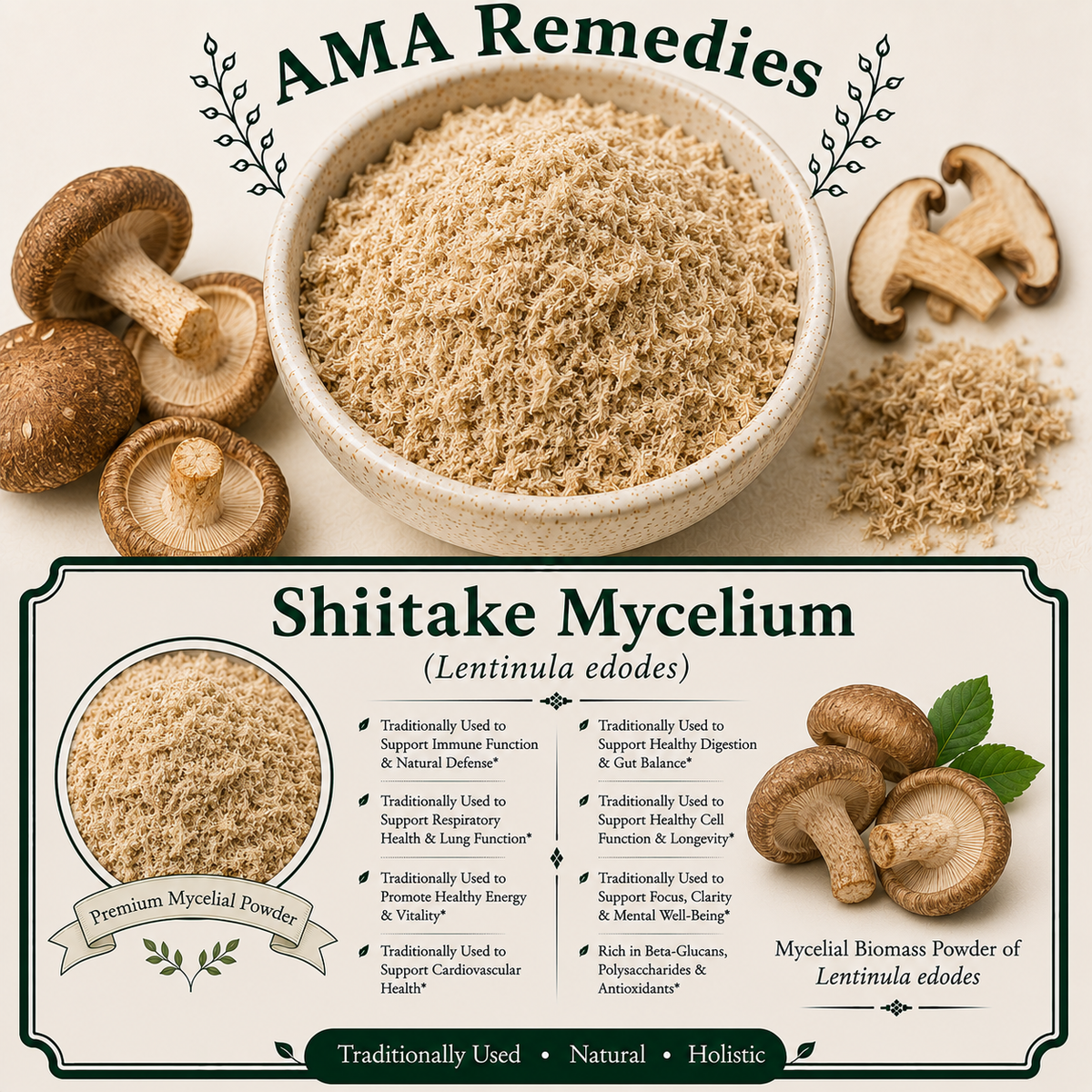 Shiitake Mycelium (Lentinula edodes)
