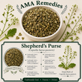 Shepherd's Purse (Capsella bursa-pastoris) — Dried Herb