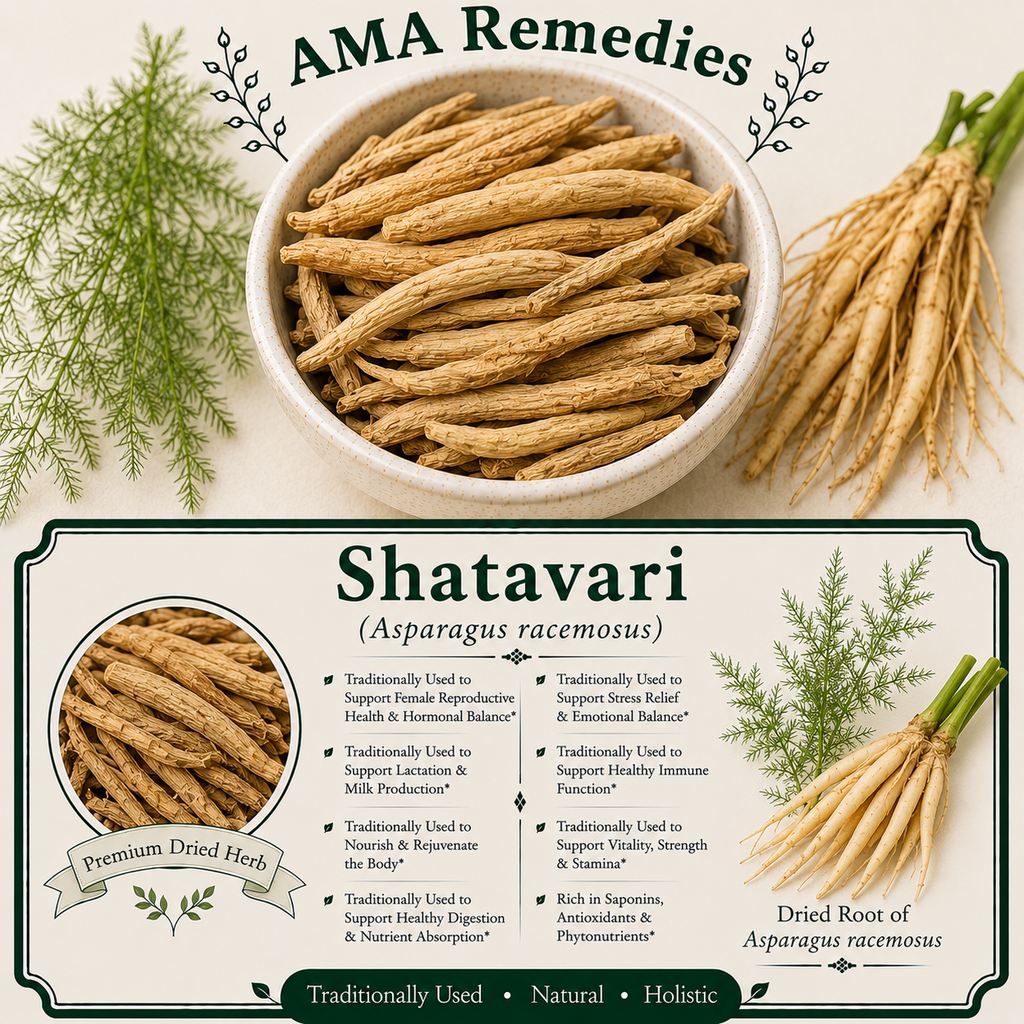 Shatavari (Asparagus racemosus)
