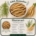 Shatavari (Asparagus racemosus)