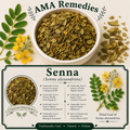 Senna (Senna alexandrina)