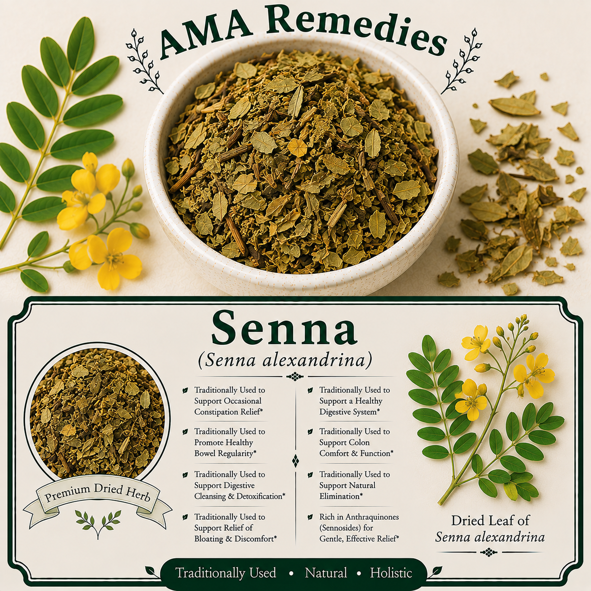 Senna (Senna alexandrina)