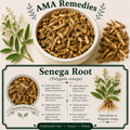 Senega Root (Polygala senega)
