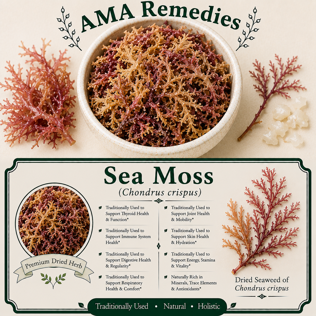 Sea Moss (Chondrus crispus) — Dried Seaweed