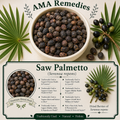 Saw Palmetto (Serenoa repens)