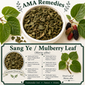 Sang Ye / Mulberry Leaf (Morus alba)
