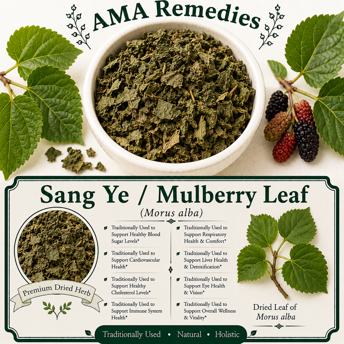 Sang Ye / Mulberry Leaf (Morus alba)