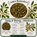 Sang Ji Sheng / Mistletoe (Taxillus chinensis)