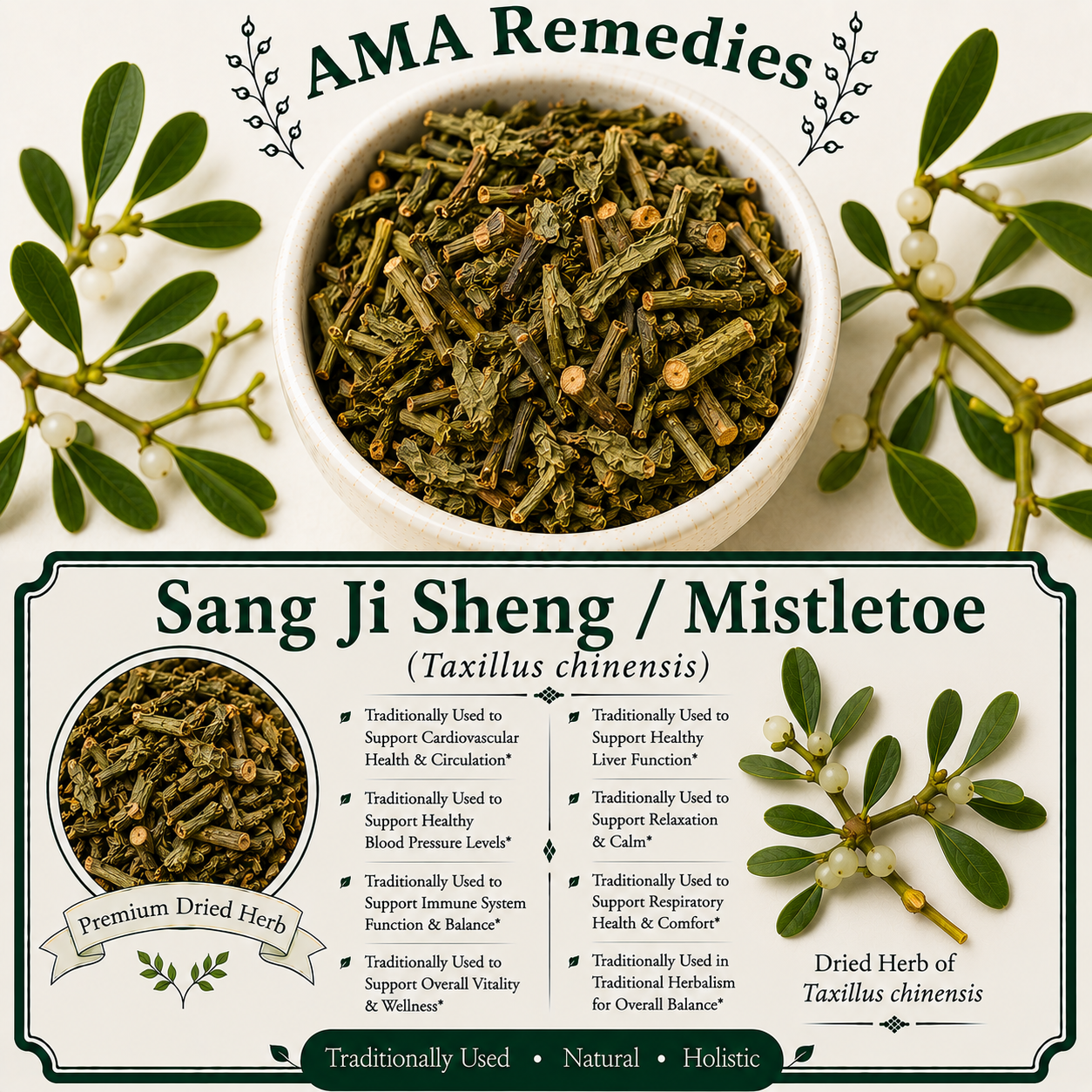 Sang Ji Sheng / Mistletoe (Taxillus chinensis)