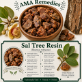 Sal Tree Resin (Shorea robusta)