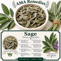 Sage (Salvia officinalis)
