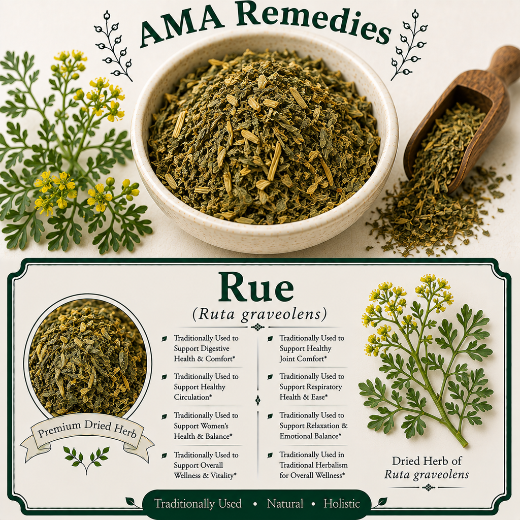 Rue (Ruta graveolens)
