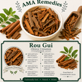 Rou Gui / Chinese Cinnamon (Cinnamomum cassia)
