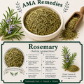 Rosemary (Salvia rosmarinus)